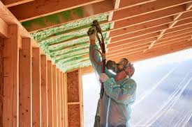 Professional Insulation in Woodside East, DE